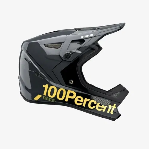 100% 80010-464-09 Status Bike Helmet