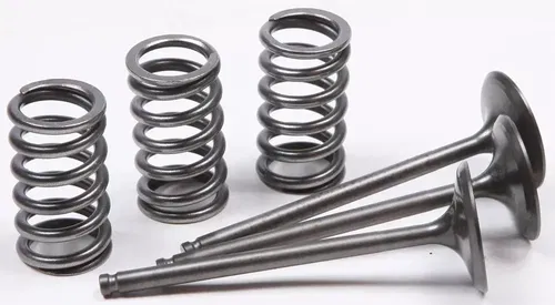 Pro X 28.SIS2424-2 Steel Valves and Spring Kits