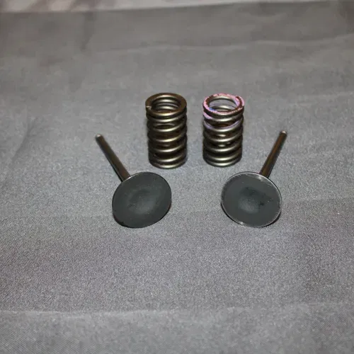 2019-2022 Yz250f Wiseco Titanium Intake Valves