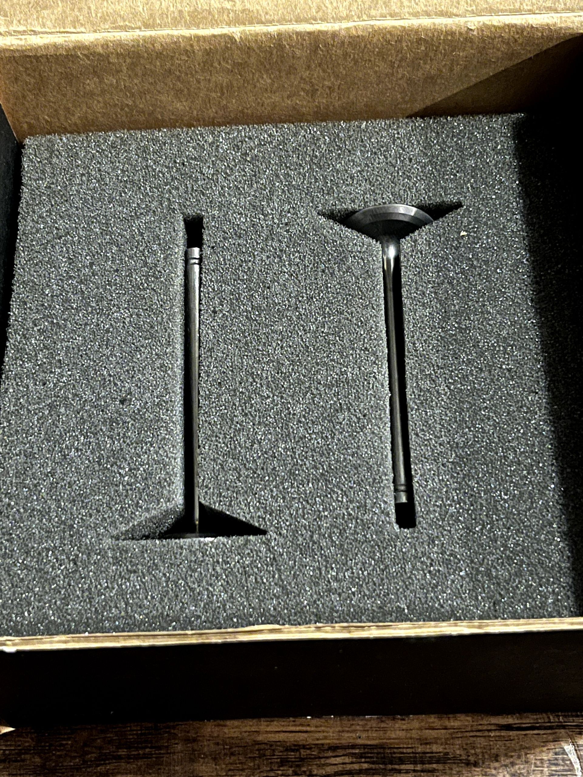 NEW PRO CIRCUIT Titanium Valves and Valve Spring Set - 02-13 KLX110 - VKK02110