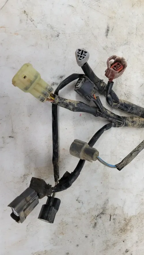 2018 Kawasaki KX250F Main Wire Harness OEM 26031-2255A