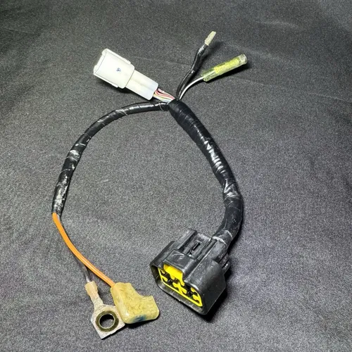 2000-2007 Yamaha TTR125 TTR 125 TTR125L Main Engine Wiring Harness Wire Loom OEM