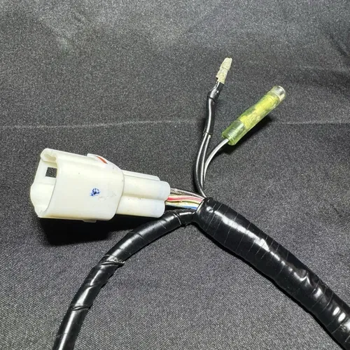 2000-2007 Yamaha TTR125 TTR 125 TTR125L Main Engine Wiring Harness Wire Loom OEM