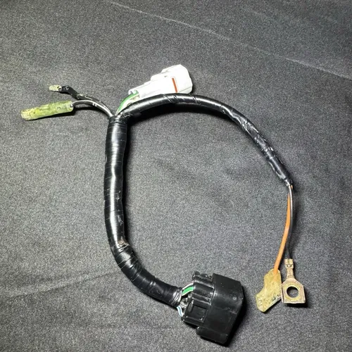 2000-2007 Yamaha TTR125 TTR 125 TTR125L Main Engine Wiring Harness Wire Loom OEM
