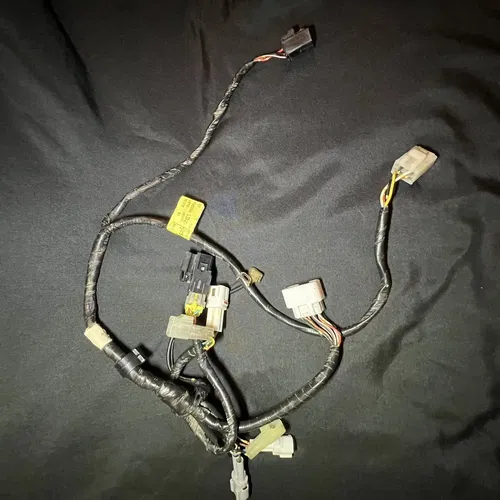 00-07 YAMAHA TTR 125LE IGNITION MAIN WIRING HARNESS OEM, 1B2-H2590-10-00, M100