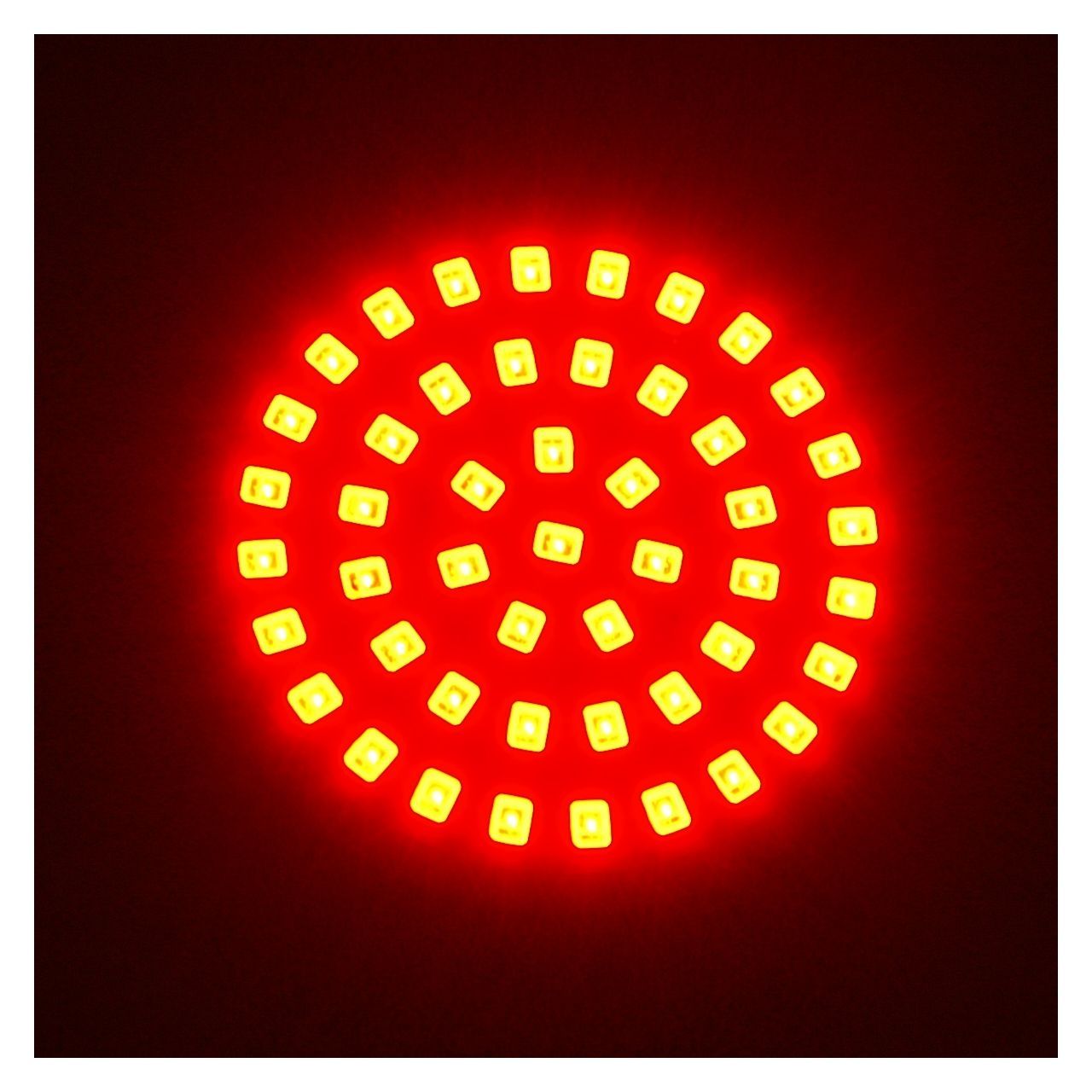 LETRIC LIGHTING CO Bullet Style LED Insert