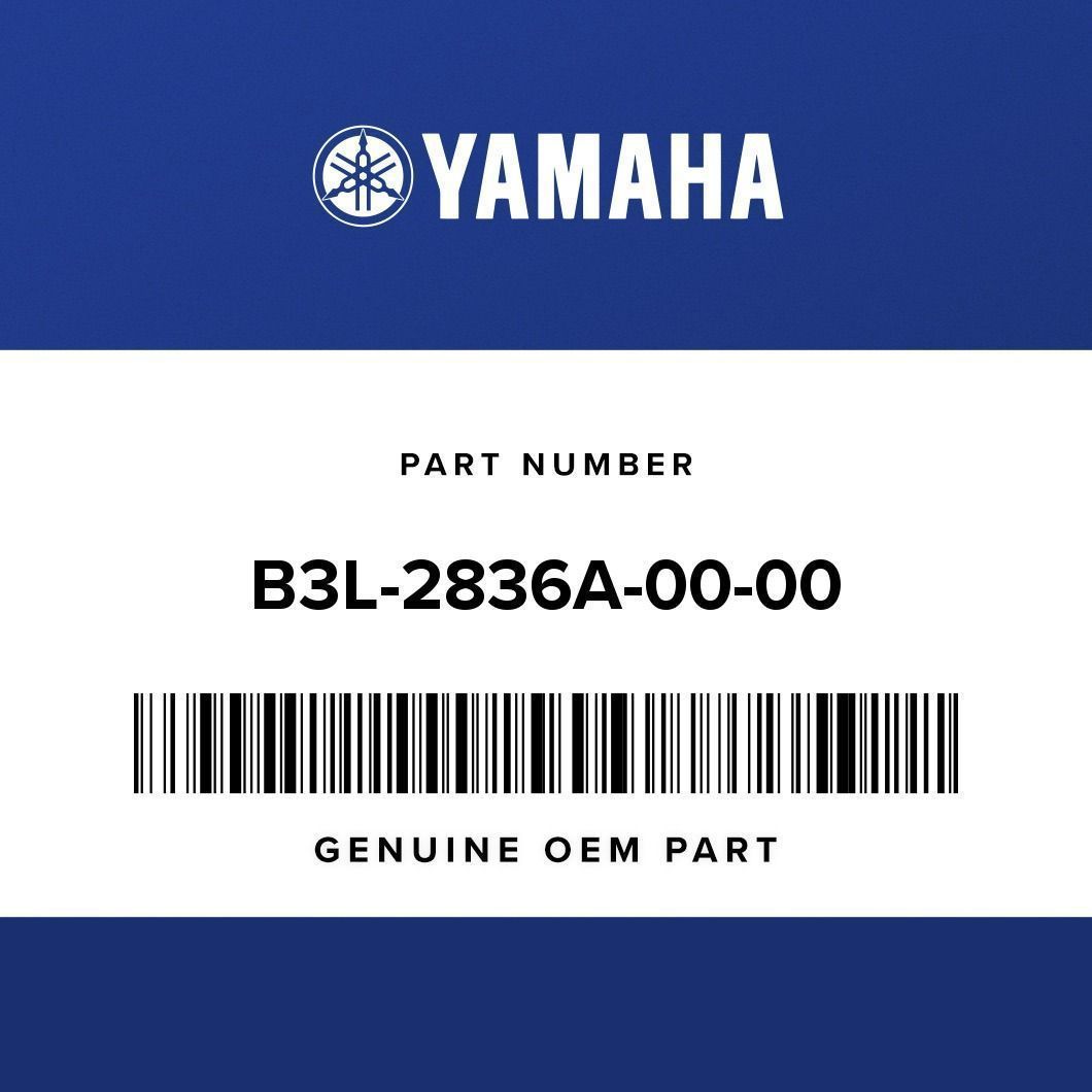 Yamaha OEM Bracket 1 2020-2026 YZF-R1 & YZF-R1M - B3L-2836A-00-00 undefined