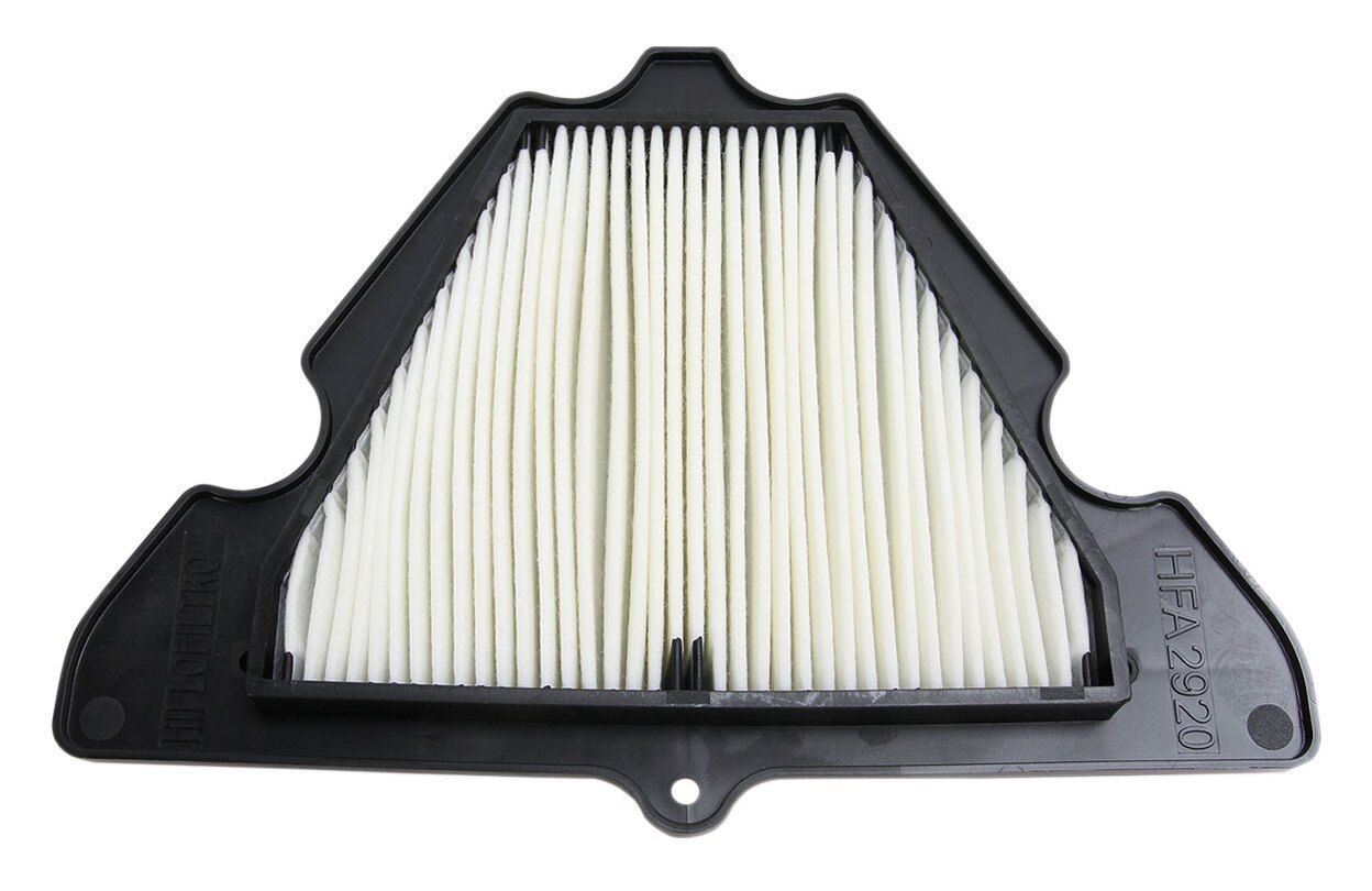 HiFloFiltro Air Filter HFA2920 undefined