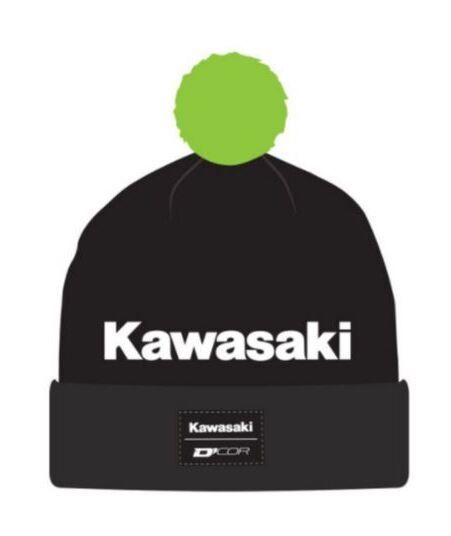D'COR Visuals Kawasaki Stripe Beanie undefined