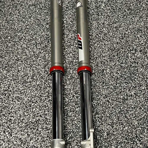 WP AEO Spring Conversion Front Forks 
