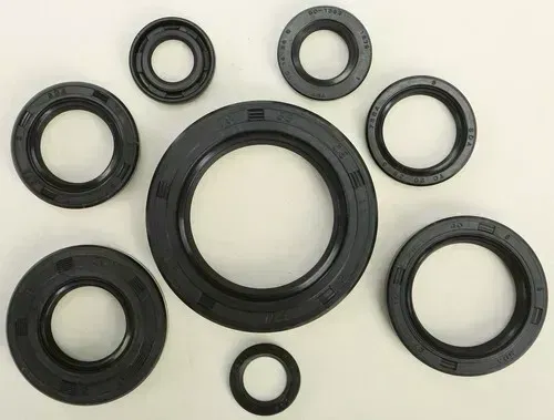 Honda CR250R CR250 1984 Genuine Vertex Engine Oil Seal Kit - 182-2108 NOS