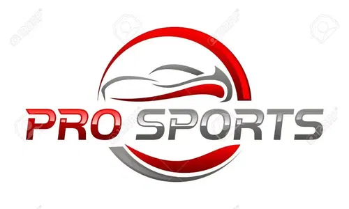 PRO SPORT- 609-0167- REPLACEMENT FACE SHIELD BRASS-  N.O.S.