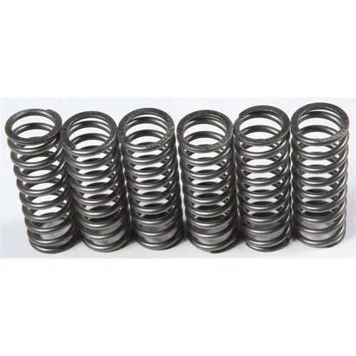 Genuine EBC Brakes Clutch Springs For 2013-2016 Honda Crf450R CSK201 NOS