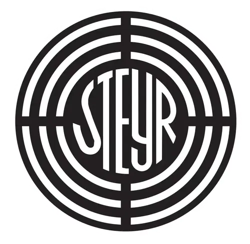 STEYR- 6303- BEARING -  N.O.S.