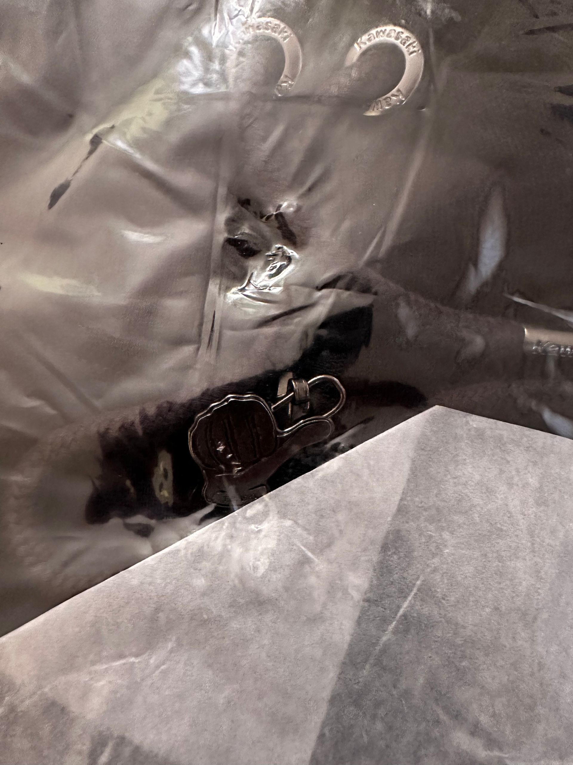 NEW Official Kawasaki Team Green Hoodie XL