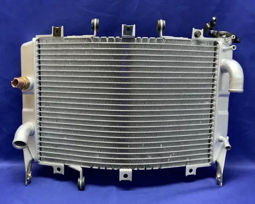 Kawasaki Radiator ZX-6R/RR 2003-2004 OEM 39061-0010
