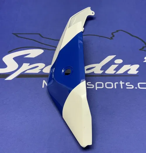 Kawasaki Left Tail Fairing (40th Ann) ZX-10R/RR 2021-2025 OEM 36001-0700-69W