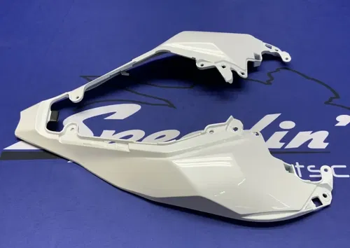 Kawasaki Rear Tail Fairing (40th Ann) ZX-10R/RR 2021-2025 OEM 36042-0007-667