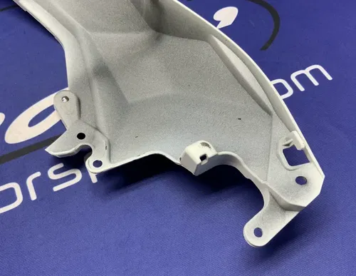 Kawasaki Rear Tail Fairing (40th Ann) ZX-10R/RR 2021-2025 OEM 36042-0007-667