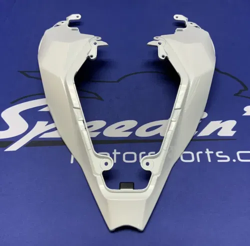 Kawasaki Rear Tail Fairing (40th Ann) ZX-10R/RR 2021-2025 OEM 36042-0007-667
