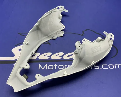 Kawasaki Rear Tail Fairing (40th Ann) ZX-10R/RR 2021-2025 OEM 36042-0007-667
