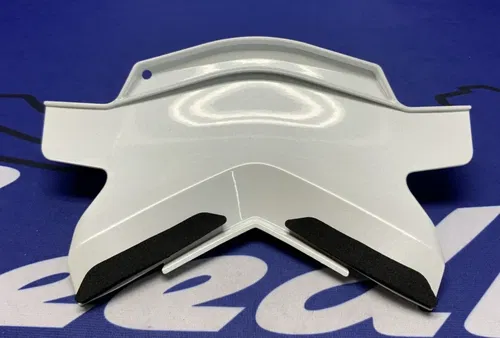 Kawasaki Rear Tail Cover (40th Ann) ZX-10R/RR 2021-2025 OEM 36042-0006-667