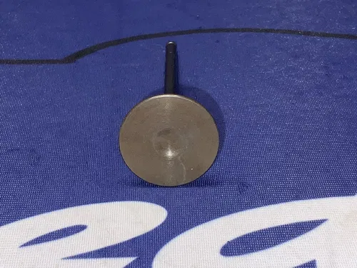 Kawasaki Intake Valve Ninja ZX-10R/RR 2017, 2018 OEM 12004-0738