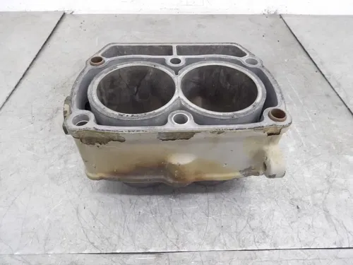2003 Polaris Sportsman 700 Engine Cylinder Twin Monoblock 2202158