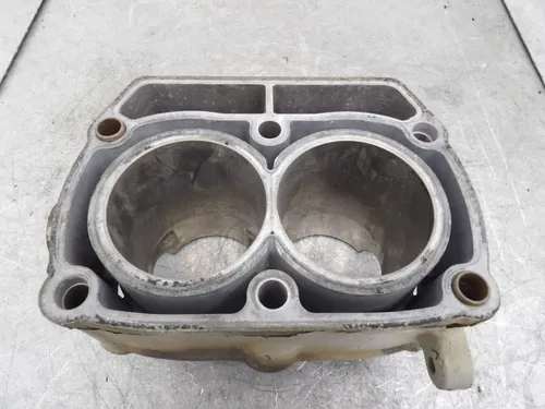 2003 Polaris Sportsman 700 Engine Cylinder Twin Monoblock 2202158