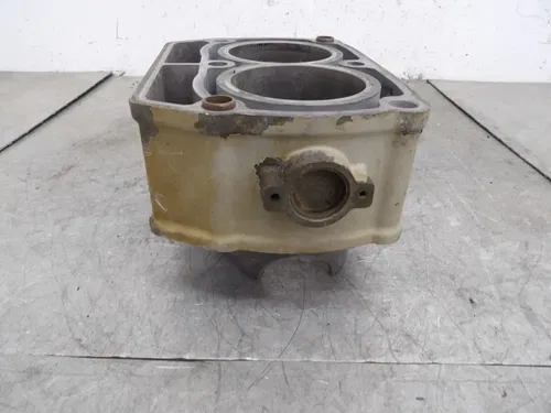 2003 Polaris Sportsman 700 Engine Cylinder Twin Monoblock 2202158