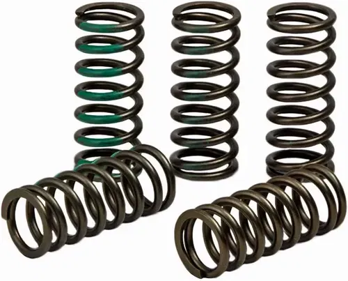 PRO CIRCUIT CSK19450-CS Clutch Springs - KX 450F