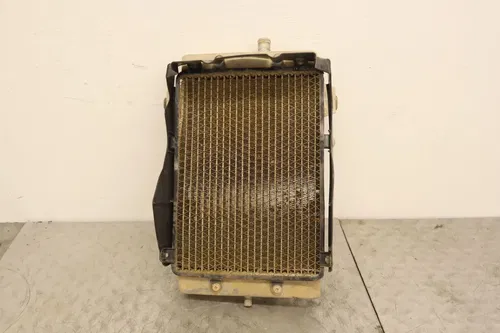 2004 KAWASAKI KFX700 V FORCE OEM ENGINE RADIATOR MOTOR COOLER COOLING RADIATER