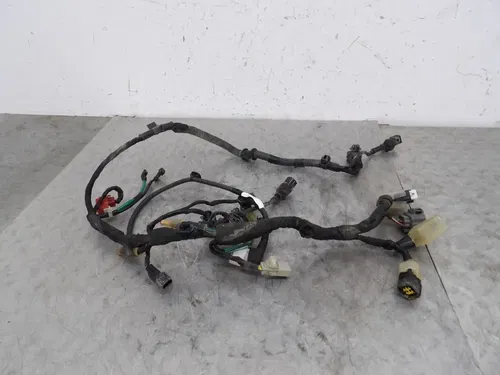 22 HONDA CRF450R CRF450RWE OEM MAIN ENGINE WIRING HARNESS MOTOR WIRE LOOM