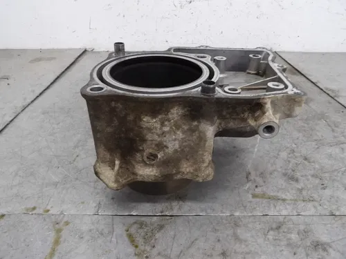 2001-2014 Honda Foreman 500 Rubicon TRX500FA Cylinder Jug OEM