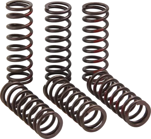 PRO CIRCUIT CSH21450-CS Clutch Springs - CRF 450R
