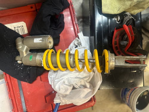 Rear Shock 