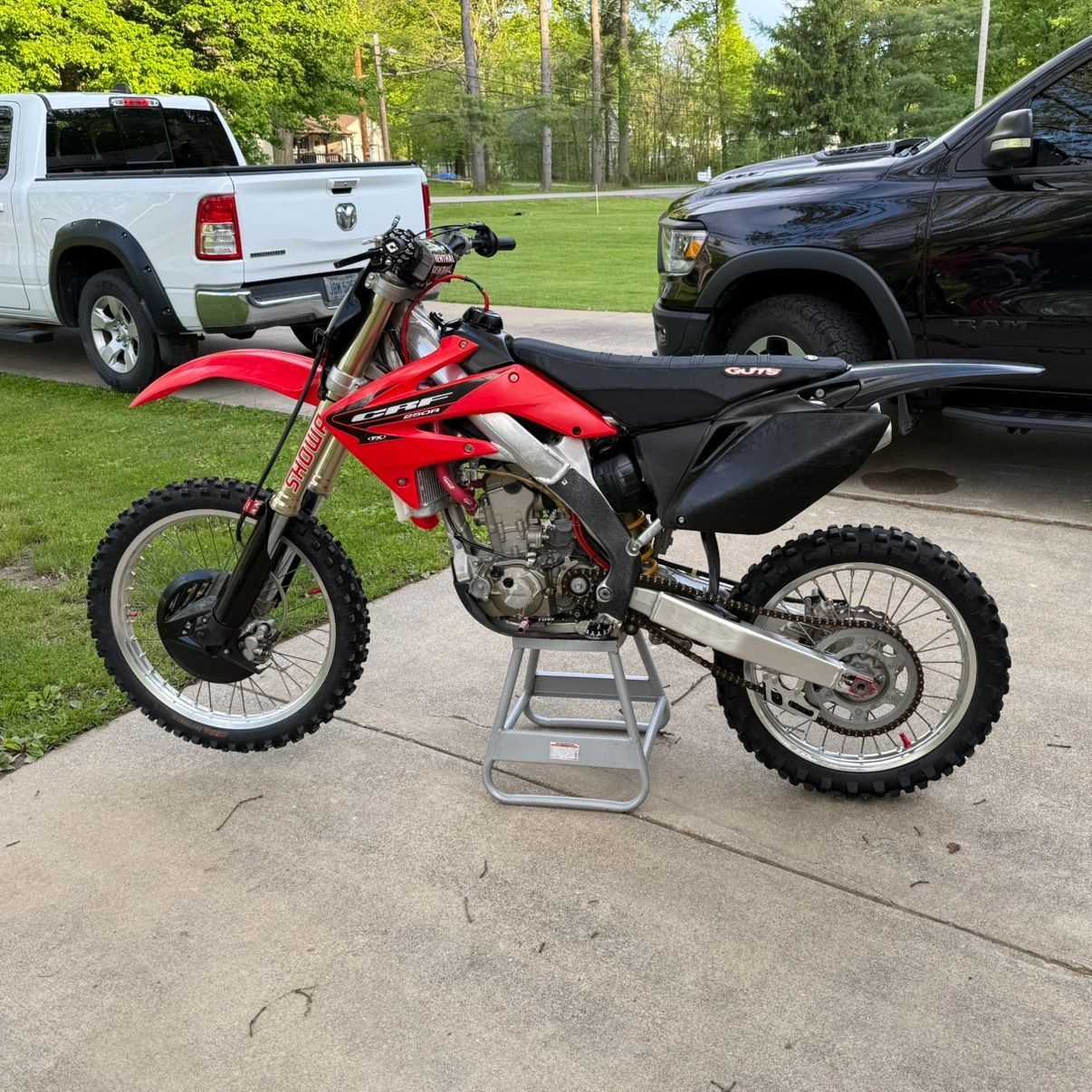 dalt026