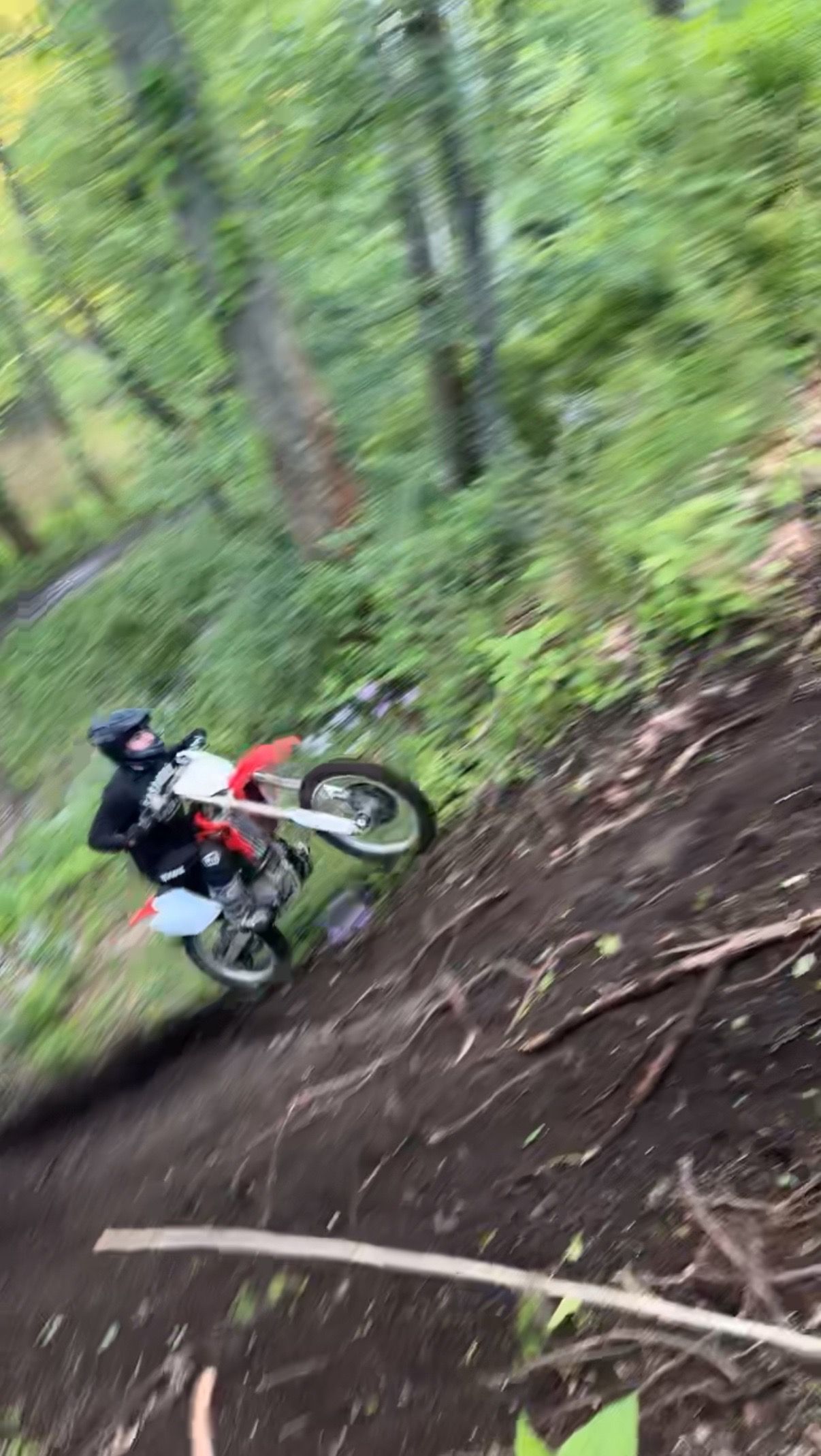 dalt026