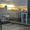 steve_