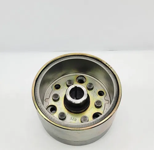 2001 2000-2007 Yamaha TTR125 TTR125L TTR 125 Flywheel Rotor Ignition Generator