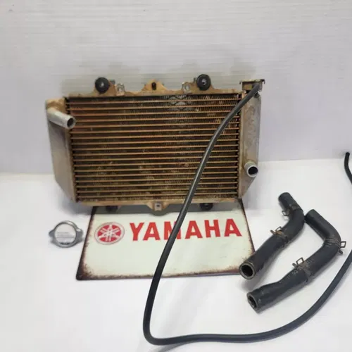 2004 04-09 Yamaha YFZ 450 YFZ 450 Radiator Guard Hoses Sensors Overflow Tube OEM