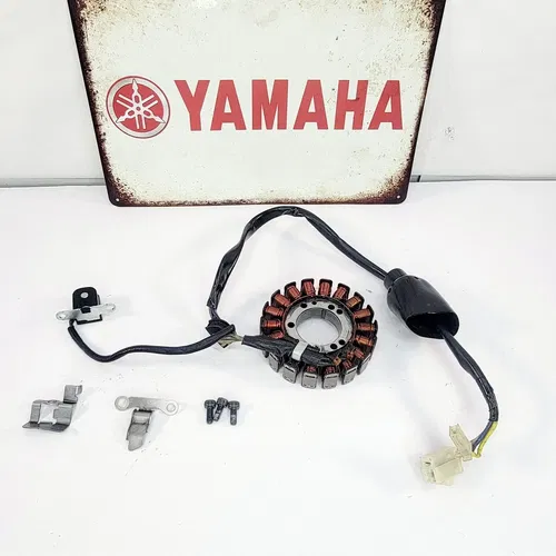 2005 1999-2006 YAMAHA TTR 250 Stator Magneto Rotor Ignition Yamaha OEM