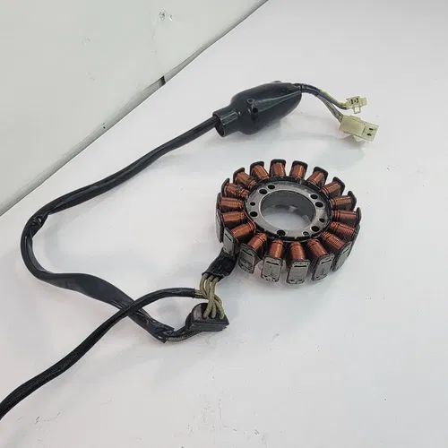 2005 1999-2006 YAMAHA TTR 250 Stator Magneto Rotor Ignition Yamaha OEM