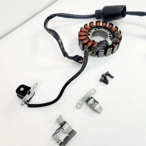 2005 1999-2006 YAMAHA TTR 250 Stator Magneto Rotor Ignition Yamaha OEM