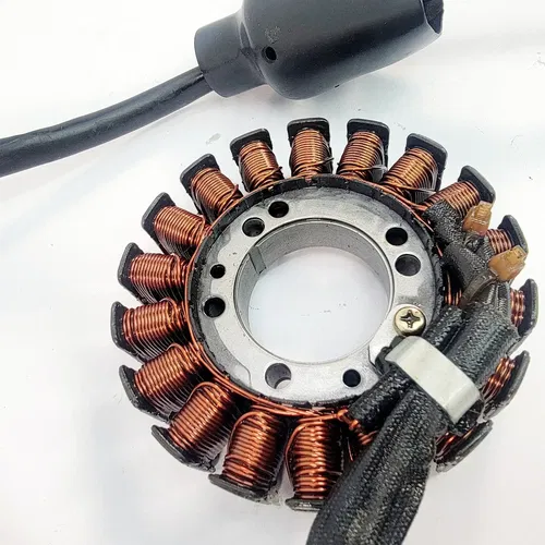2005 1999-2006 YAMAHA TTR 250 Stator Magneto Rotor Ignition Yamaha OEM