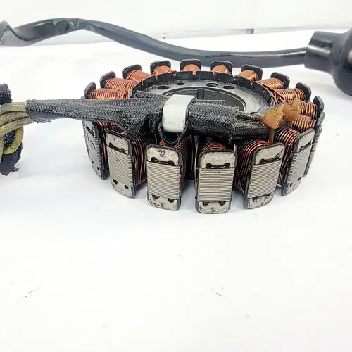 2005 1999-2006 YAMAHA TTR 250 Stator Magneto Rotor Ignition Yamaha OEM