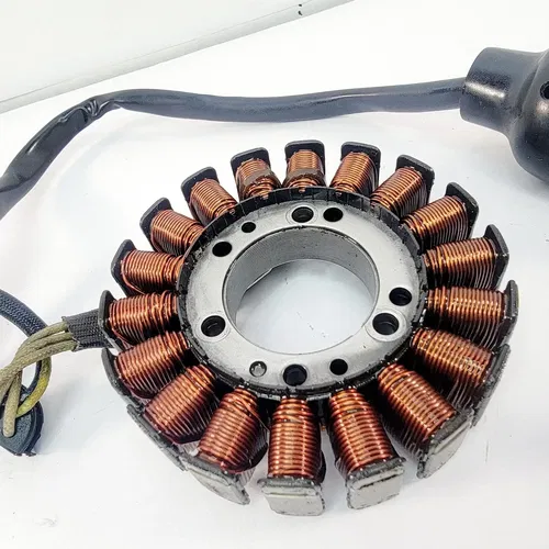 2005 1999-2006 YAMAHA TTR 250 Stator Magneto Rotor Ignition Yamaha OEM