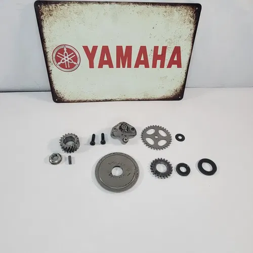 2005 2000-2007 YAMAHA TTR125L Engine Motor Oil Pump Assembly 5AP-13300-00-00 OEM