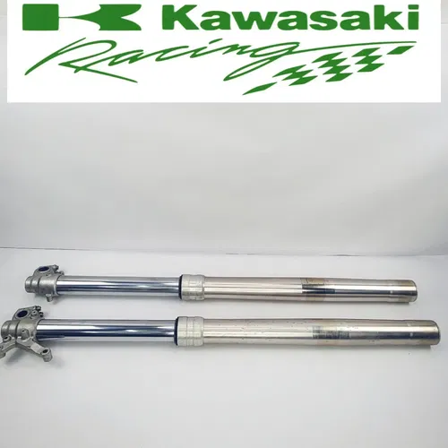 2005 04-05 KX250F 04-06 RMZ250F Front Forks Front Shocks Assembly OEM 48MM