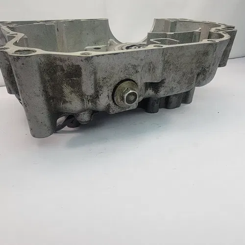 2005 1999-2006 YAMAHA TTR250 TTR 250 Engine Crankcase Left Main Case Bearing OEM